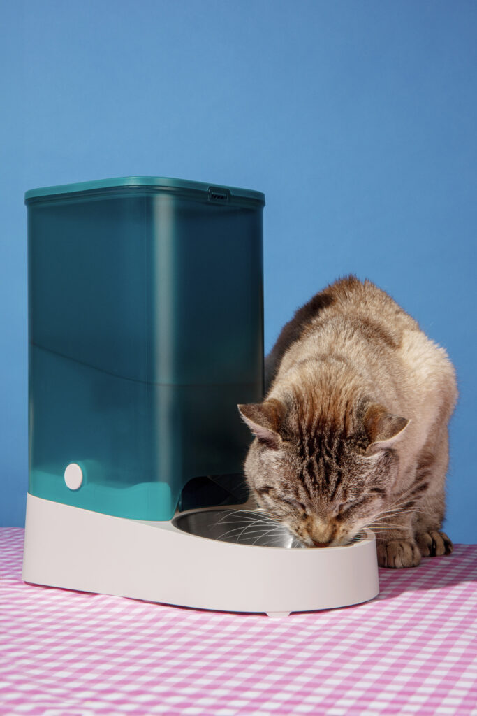 alimentador-inteligente-para-animais-de-estimacao